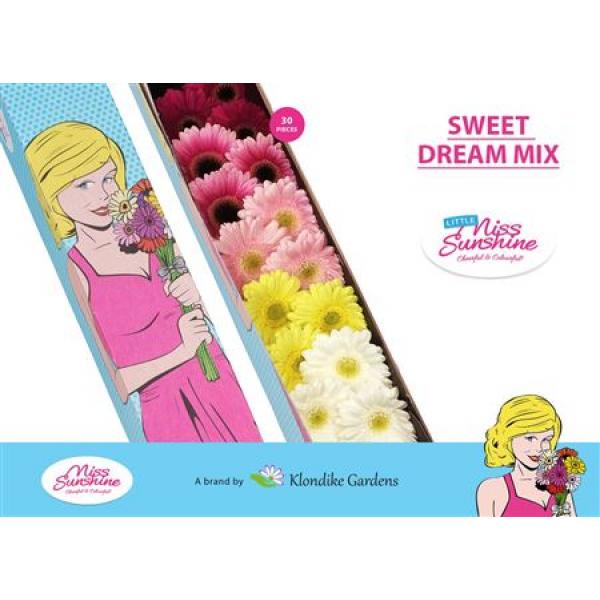Ge Mi Small Box Mix Sweet Dream