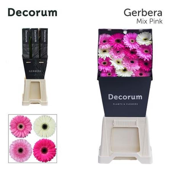 Ge Gr Diamond Mix Pink