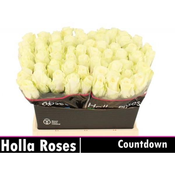 R Gr Countdown!