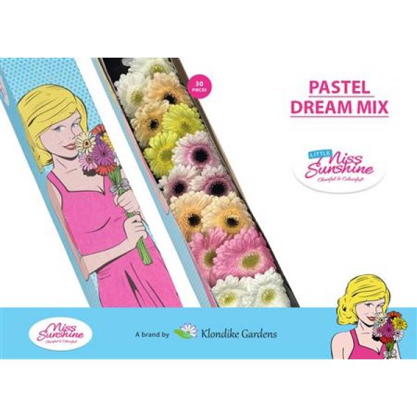 Ge Mi Small Box Mix Pastel Dream