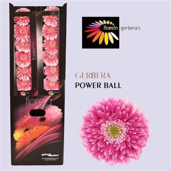 Ge Gr Aquabox Pom Power Ball *96
