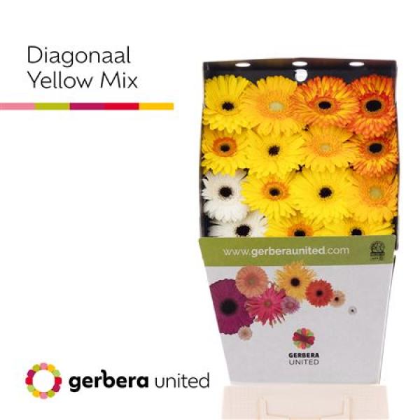 Ge Gr Diamond Mix Yellow