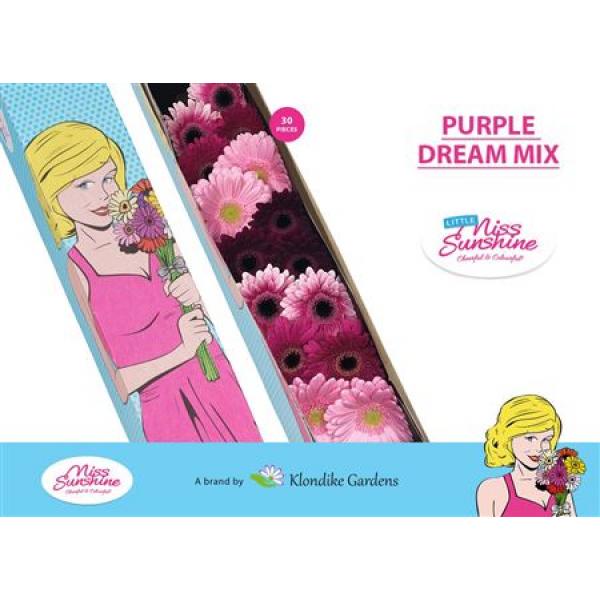 Ge Mi Small Box Mix Purple Dream
