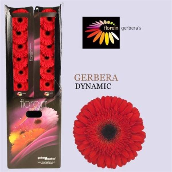 Ge Gr Aquabox Dynamic *80
