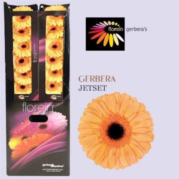 Ge Gr Aquabox Jetset *96