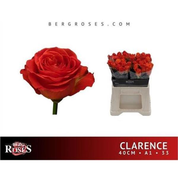 R Gr Clarence+