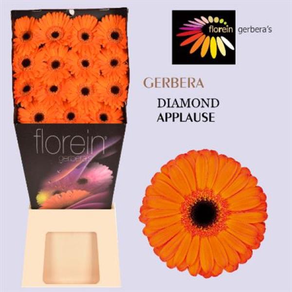 Ge Gr Diamond Applause