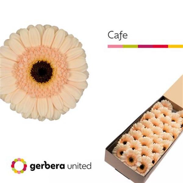Ge Mi Box Cafe