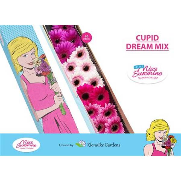 Ge Mi Small Box Mix Cupid Dream