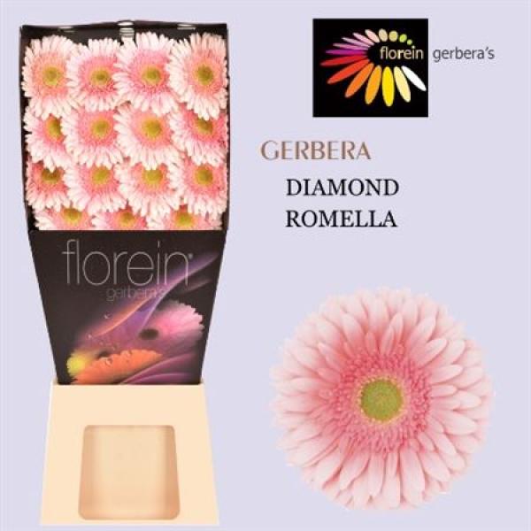 Ge Gr Diamond Romella