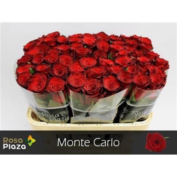R Gr Monte Carlo