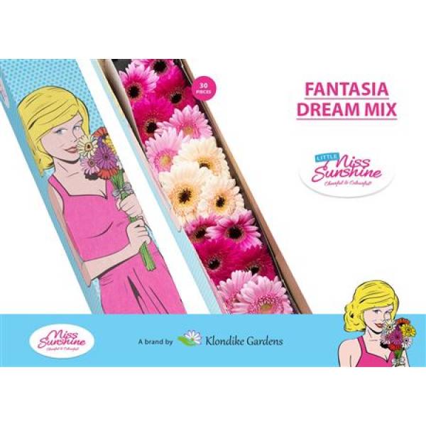 Ge Mi Small Box Mix Fantasia Dream