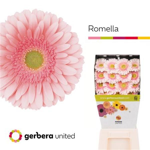 Ge Gr Diamond Romella
