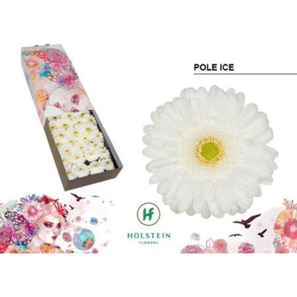 Ge Gr Box Pole Ice