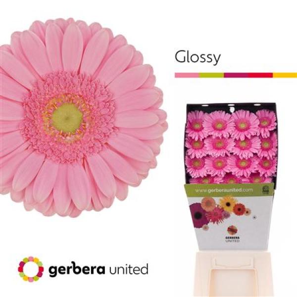 Ge Gr Diamond Glossy