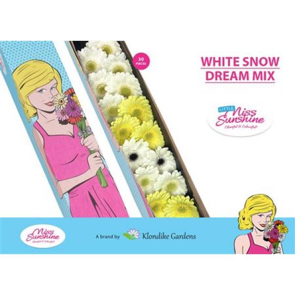 Ge Mi Small Box Mix White Snow Dream
