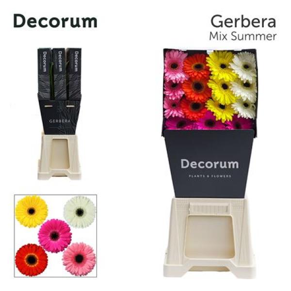 Ge Gr Diamond Mix 5 Colors Incl White