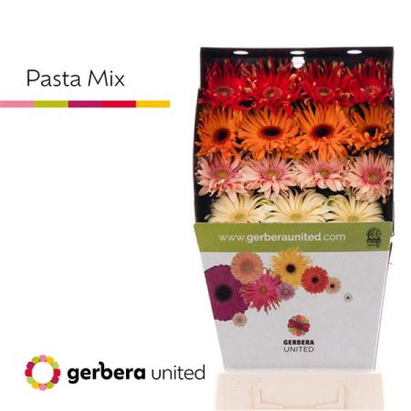 Ge Gr Diamond Pasta Mix On Row