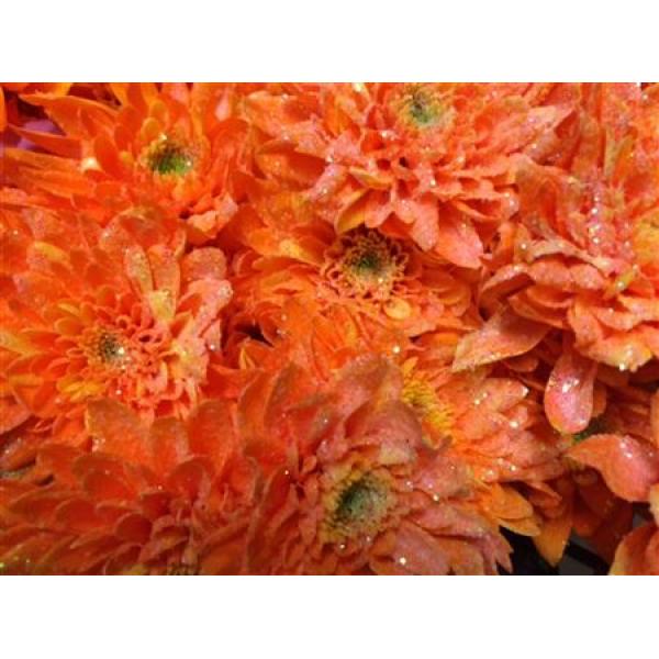 Chr Tr Euro Dyed Orange V Yellow + Glit