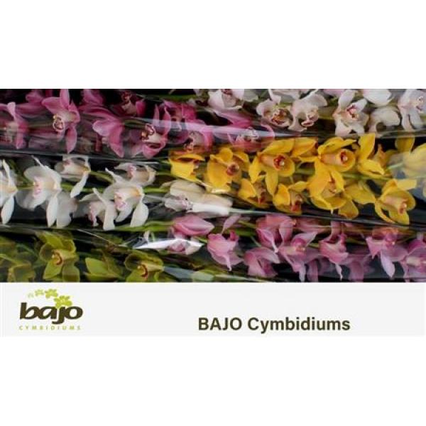 Cymb   Mix Bajo 80cm