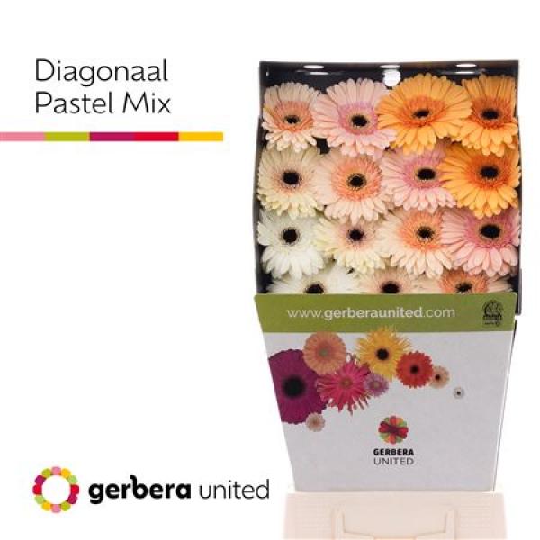 Ge Gr Diamond Mix Pastel