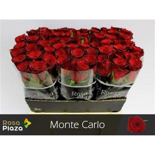 R Gr Monte Carlo