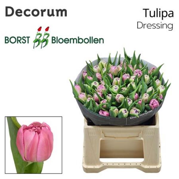 Tu Du Dressing