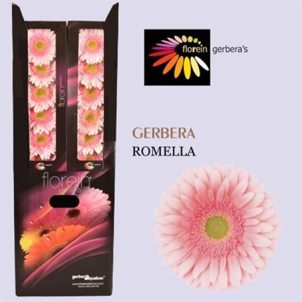 Ge Gr Aquabox Romella *96