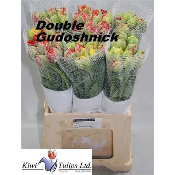Tu French Du Gudoshni Double