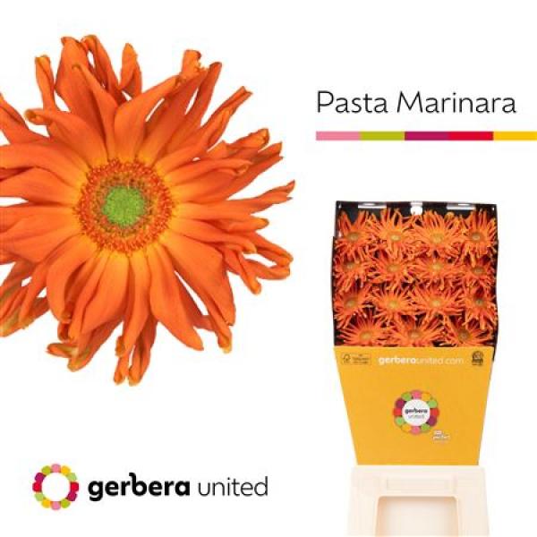 Ge Gr Diamond Pasta Marinara