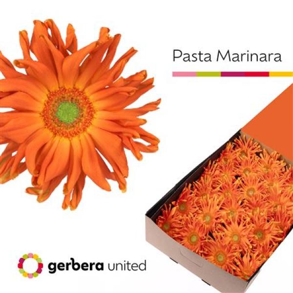 Ge Gr Box Pasta Marinara