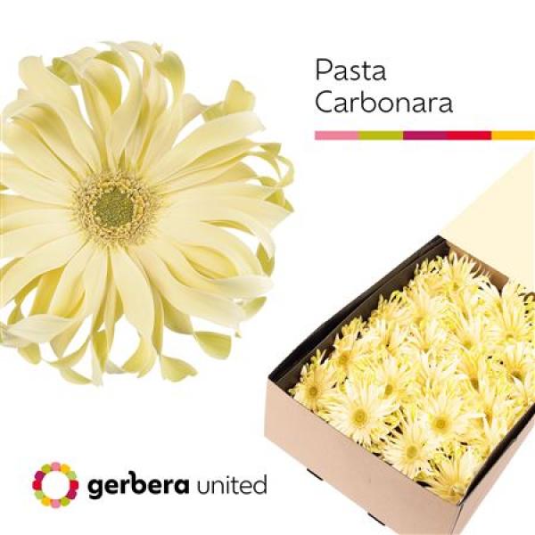 Ge Gr Box Pasta Carbonara