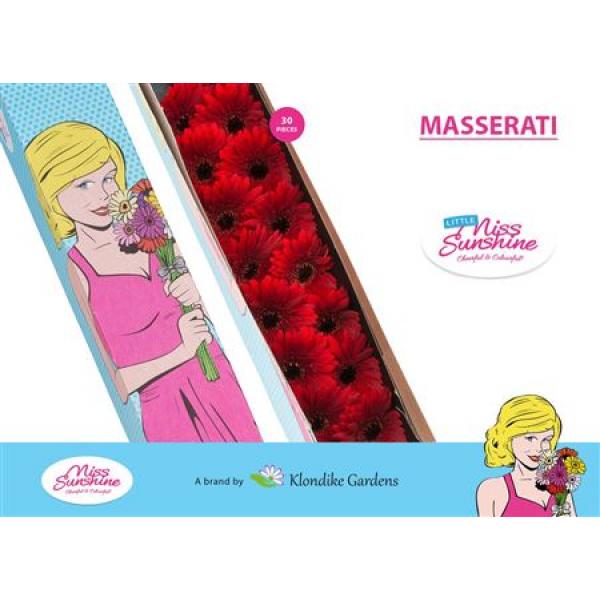Ge Mi Small Box Masserati