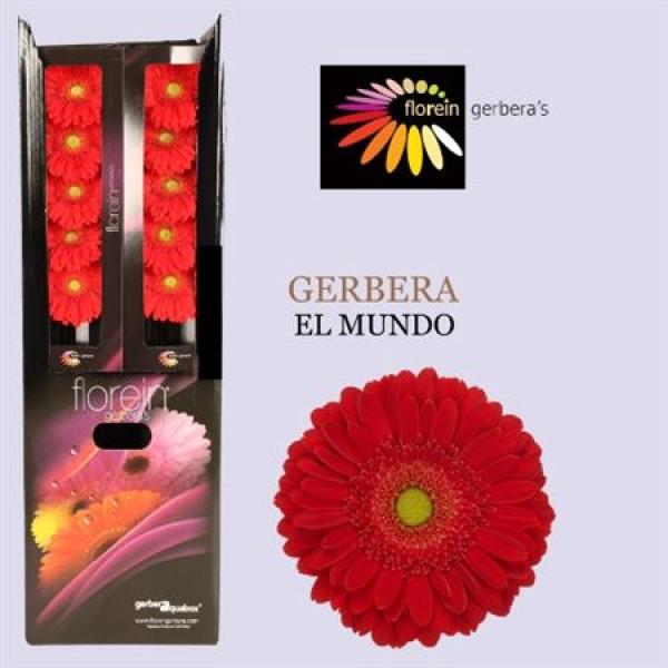 Ge Gr Aquabox El Mundo *96