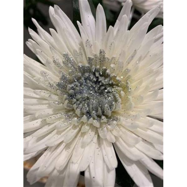 Chr Gr Anastasia Dyed Sparkling Silver