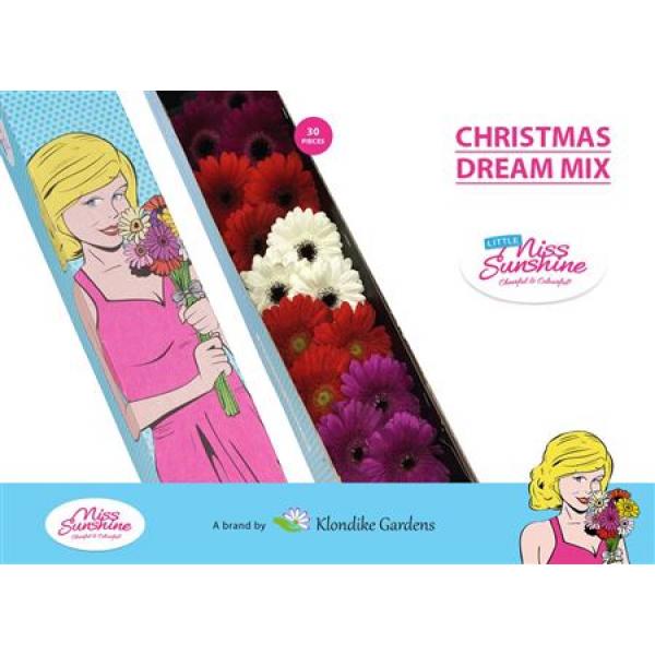 Ge Mi Small Box Mix Christmas Dream