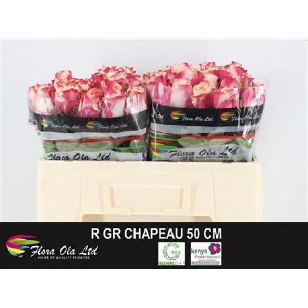 R Gr Chapeau