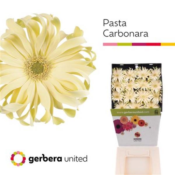 Ge Gr Diamond Pasta Carbonara