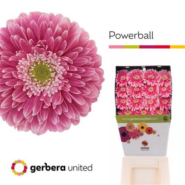 Ge Gr Diamond Pomponi Power Ball