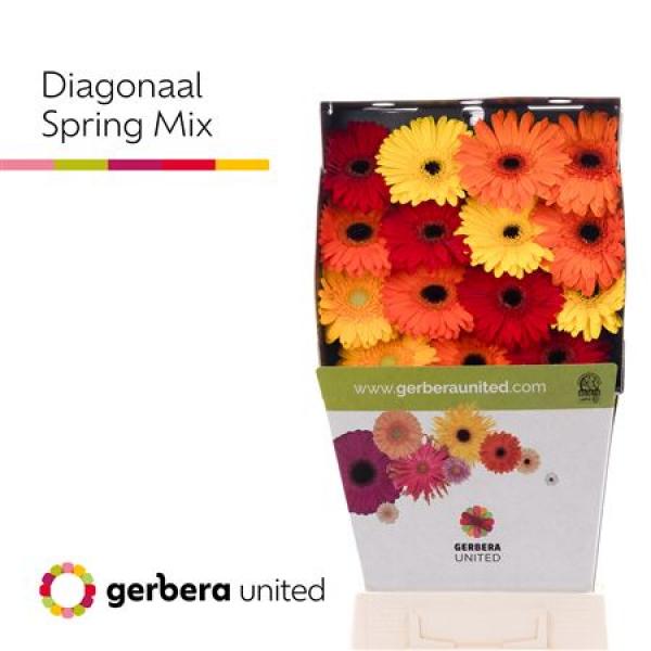Ge Gr Diamond Mix Spring