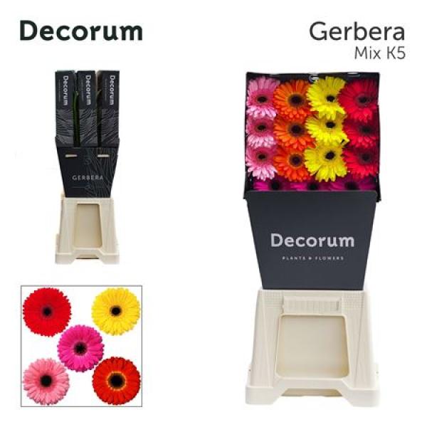 Ge Gr Diamond Mix 5 Colors