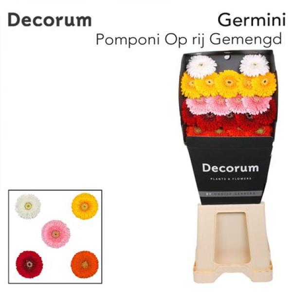 Ge Mi Diamond Pomponi Mix
