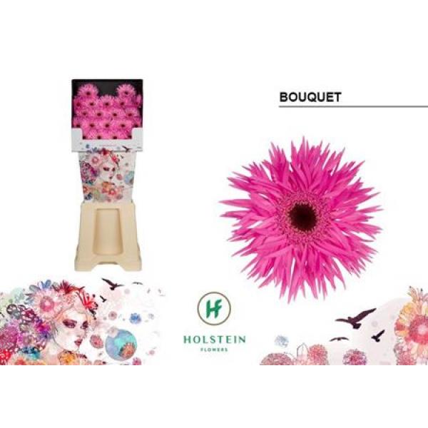 Ge Mi Diamond Spider Bouquet Holstein