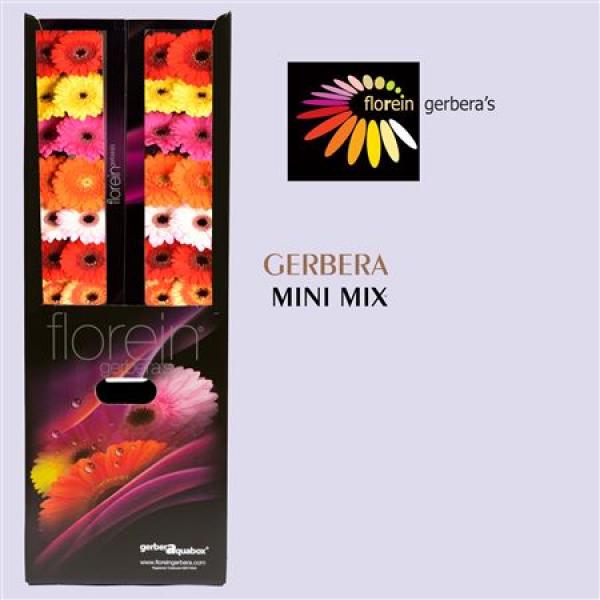 Ge Mi Aquabox Small Mix*160