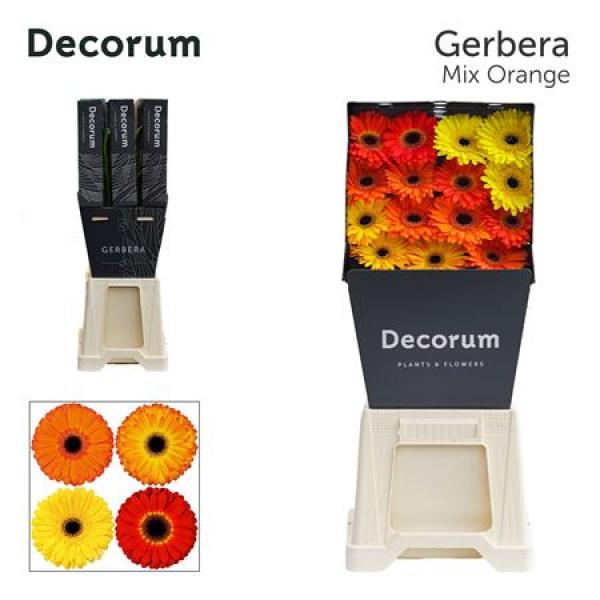Ge Gr Diamond Mix Orange