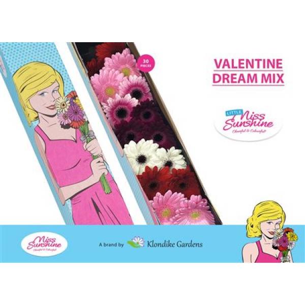 Ge Mi Small Box Mix Valentino Dream