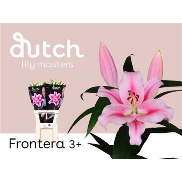 Li Ot Frontera 3+