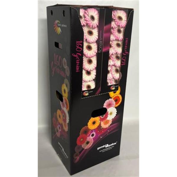 Ge Mi Aquabox Small Lollipop *160