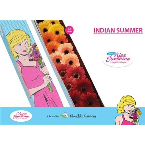 Ge Mi Small Box Mix Indian Summer