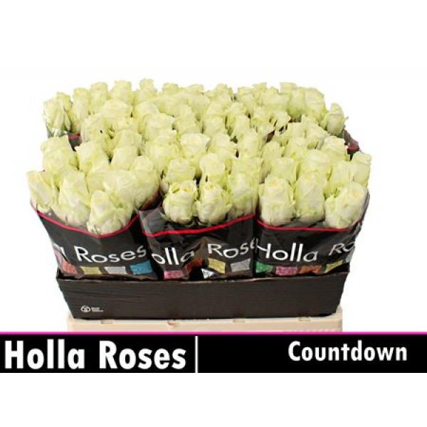 R Gr Countdown!